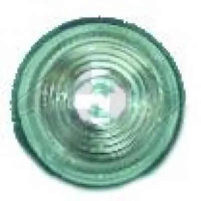 Фонарь указателя поворота DIEDERICHS купить