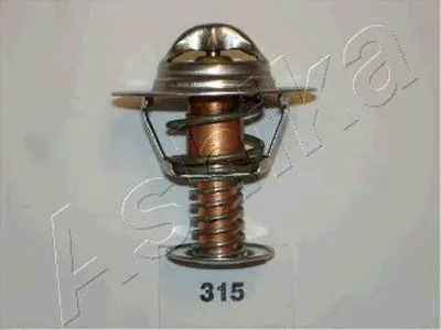 Термостат, охлаждающая жидкость ASHIKA купить