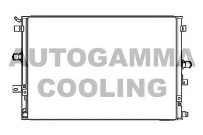 Интеркулер AUTOGAMMA купить