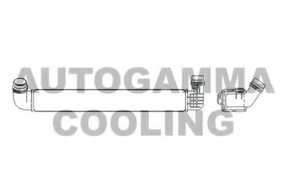 Интеркулер AUTOGAMMA купить