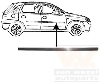 Облицовка / защитная накладка, дверь VAN WEZEL купить