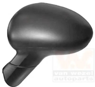 Наружное зеркало VAN WEZEL купить