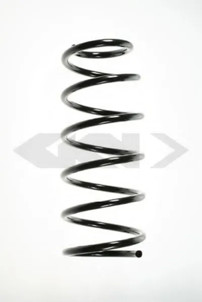 винтовая пружина SPIDAN купить