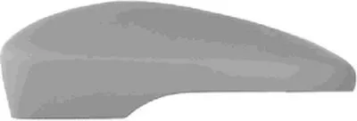 Покрытие, внешнее зеркало VAN WEZEL купить