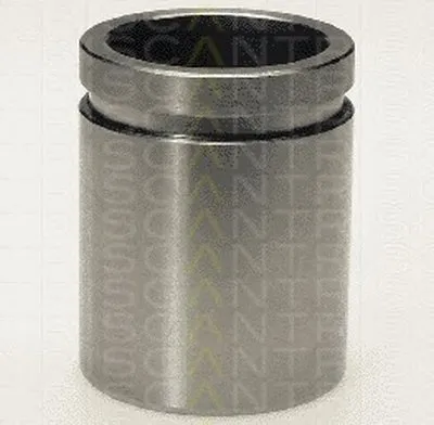 Поршень, корпус скобы тормоза TRISCAN купить