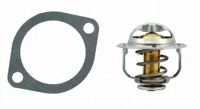 Термостат, охлаждающая жидкость HOFFER купить