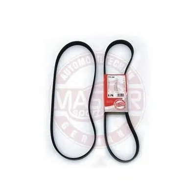 V-Ribbed Belts MASTER-SPORT купить