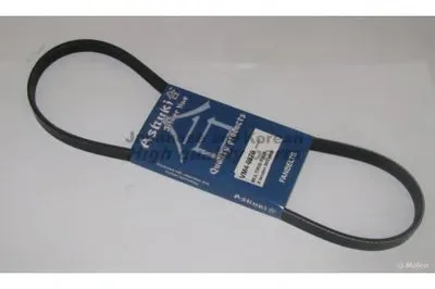 V-Ribbed Belts ASHUKI купить