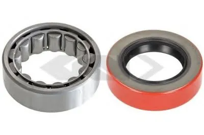 Комплект подшипника ступицы колеса SPIDAN купить