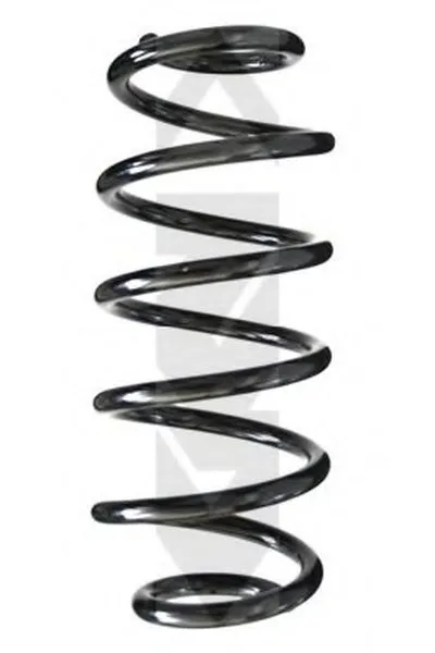 винтовая пружина SPIDAN купить