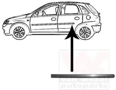Облицовка / защитная накладка, дверь VAN WEZEL купить
