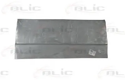 Дверь, кузов BLIC купить