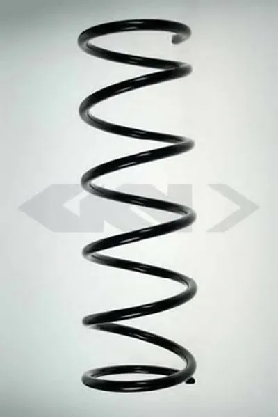 винтовая пружина SPIDAN купить