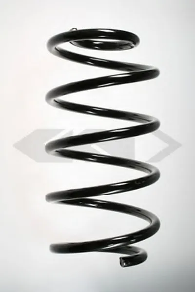 винтовая пружина SPIDAN купить