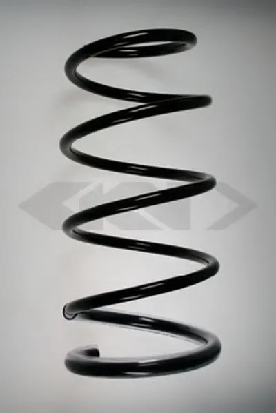 винтовая пружина SPIDAN купить