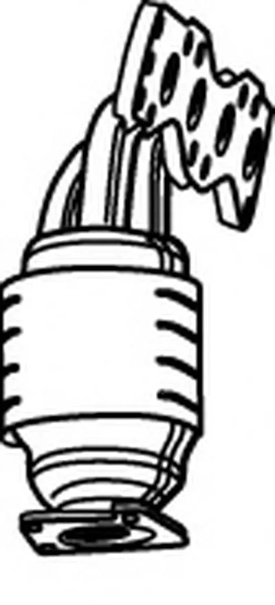 Катализатор для переоборудования WALKER купить