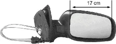 Наружное зеркало VAN WEZEL купить