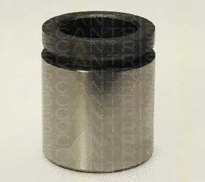 Поршень, корпус скобы тормоза TRISCAN купить