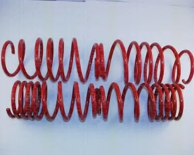 Комплект ходовой части, пружины TRISCAN купить