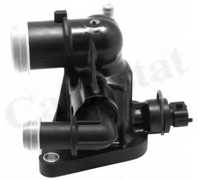 Термостат, охлаждающая жидкость CALORSTAT by Vernet купить