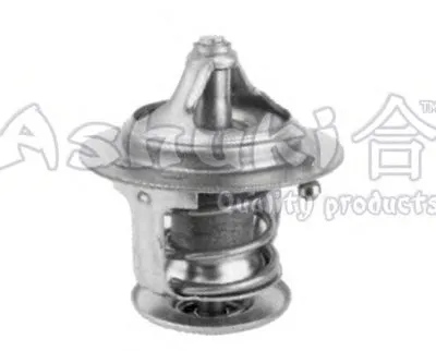 Термостат, охлаждающая жидкость ASHUKI купить