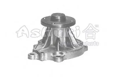 Водяной насос ASHUKI купить