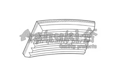 V-Ribbed Belts ASHUKI купить