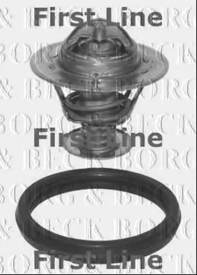 Термостат, охлаждающая жидкость BORG & BECK купить