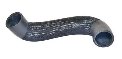 Трубка нагнетаемого воздуха BUGIAD купить