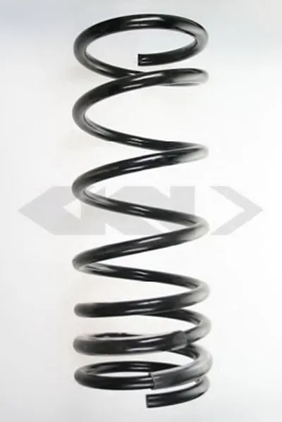 винтовая пружина SPIDAN купить