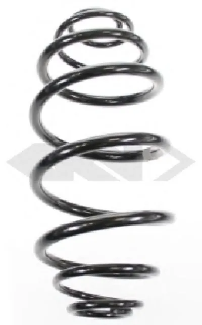 винтовая пружина SPIDAN купить
