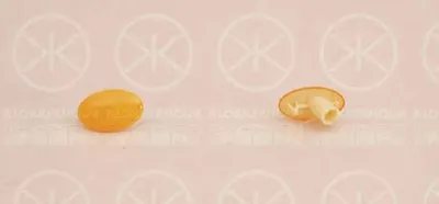 Фонарь указателя поворота KLOKKERHOLM купить