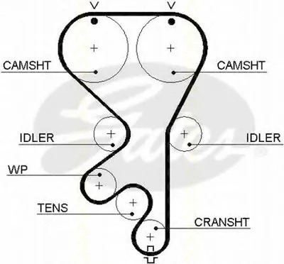 Ремень ГРМ TRISCAN купить