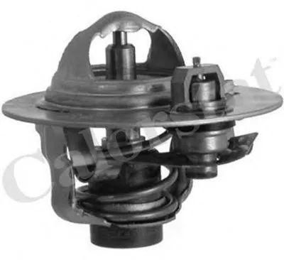 Термостат, охлаждающая жидкость CALORSTAT by Vernet купить