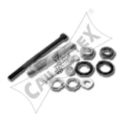 Подвеска, рычаг независимой подвески колеса CAUTEX купить