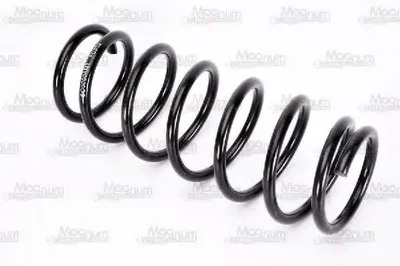 винтовая пружина Magnum Technology купить