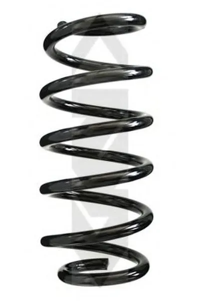 винтовая пружина SPIDAN купить