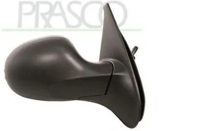 Наружное зеркало PRASCO купить