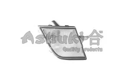 Фонарь указателя поворота ASHUKI купить