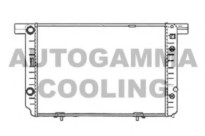 Радиатор, охлаждение двигателя AUTOGAMMA купить