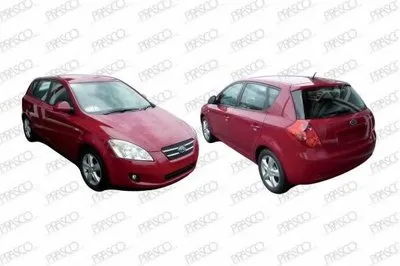 Ручка двери PRASCO купить