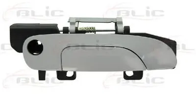 Ручка двери BLIC купить