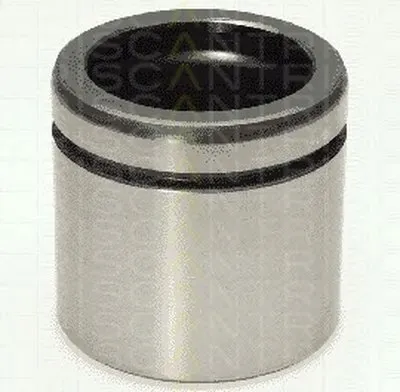 Поршень, корпус скобы тормоза TRISCAN купить