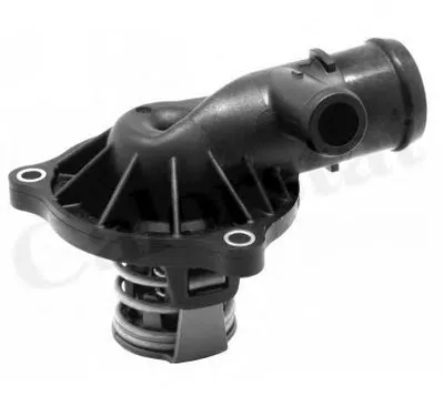 Термостат, охлаждающая жидкость CALORSTAT by Vernet купить