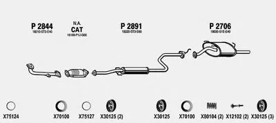 Система выпуска ОГ FENNO купить