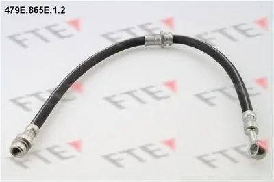 Тормозной шланг FTE купить
