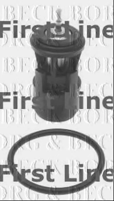 Термостат, охлаждающая жидкость BORG & BECK купить