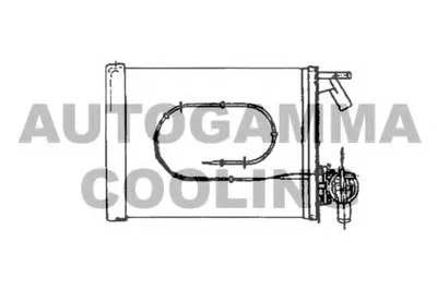 Теплообменник, отопление салона AUTOGAMMA купить