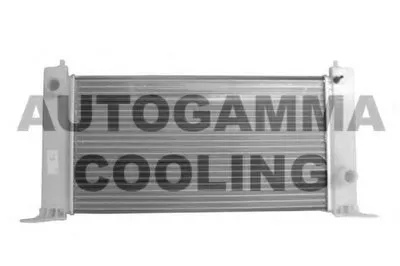Радиатор, охлаждение двигателя AUTOGAMMA купить