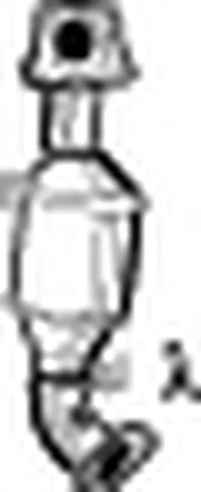 Катализатор для переоборудования WALKER купить